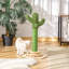 Matlock Scratching Post