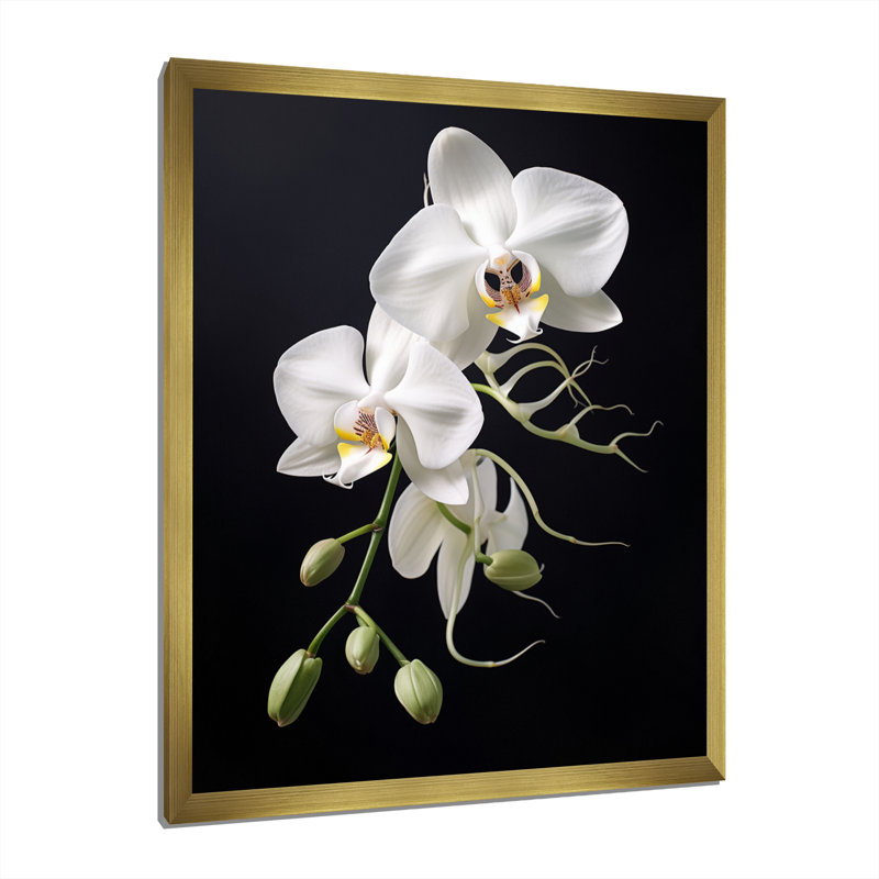 Orchidée délicate noire et blanche - décoration murale orchidée, H 44 po x l 34 po x P 1,5 po, Cadre doré simple
