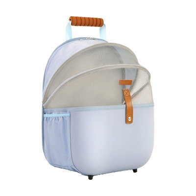 Outdoor Pet Carrier 16.9x13.4x10.6in Spacious Breathable Lightweight For Cats Dogs, Blue
