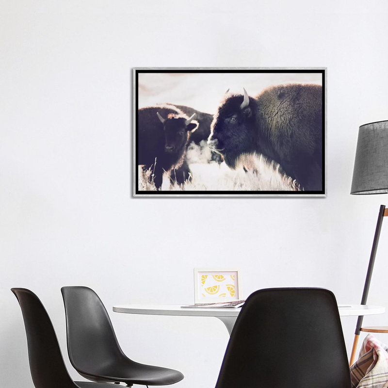 Photographie buffalo, H 26 po x l 40 po x P 1,5 po, Toile avec cadre argenté