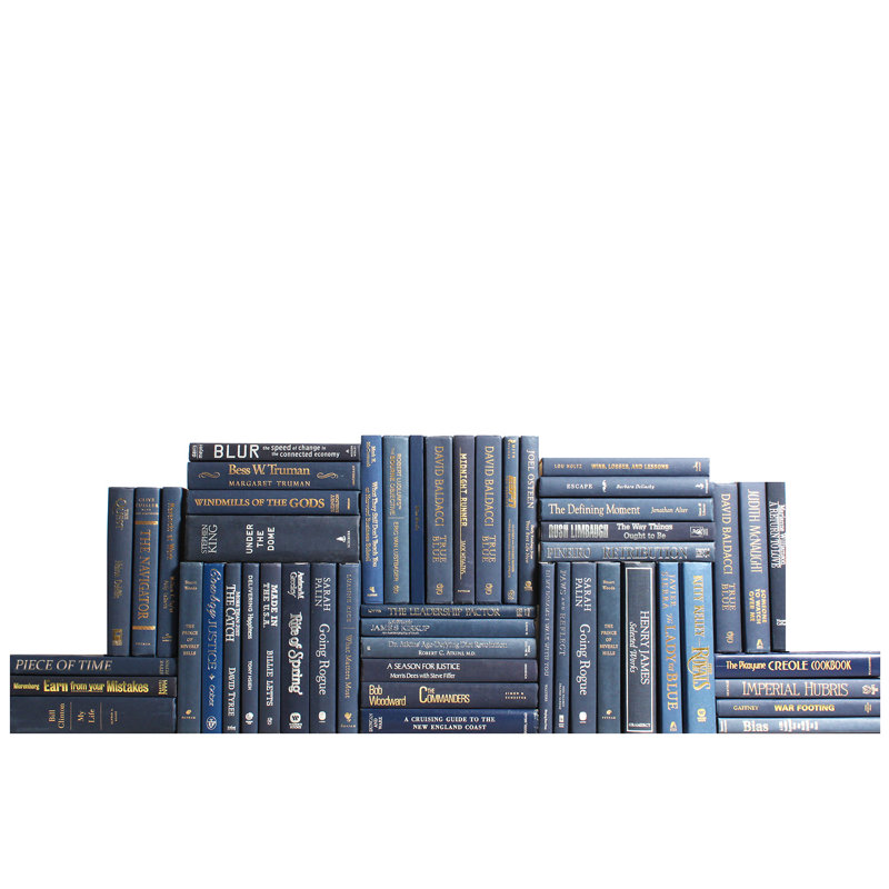 Modern Denim & Gold Book Wall, 100, 10" H x 113" W x 8" D, Serene Sky Blue