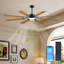 Ventilateur de plafond moderne à 8 pales avec lumière et télécommande, moteur à courant continu réversible, finition noire et noyer