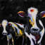 Deux vaches amusantes, toile encadrée - Blanc, décoration intérieure contemporaine-119717392
