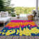 Chayden Area Rug with Non-Slip Backing