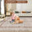 Randolph Machine Washable Rug Non-Shedding Rug for Living Room Bordered Design Modern Rug Soft Fluffy Pile Throw Rug Indoor Carpet Ultra-Thin Floor Cover for Bedroom Hallway Dining Room Kitchen Office Playroom-2119688051