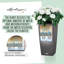 Cubico Planter Box-26992067