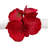 Plastic, Fabric Napkin Ring-1241803975
