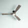 Ferland 60'' Ceiling Fan with LED Lights