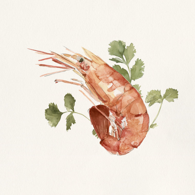 " Shrimp For Dinner II ", 30" H x 30" W x 1.25" D