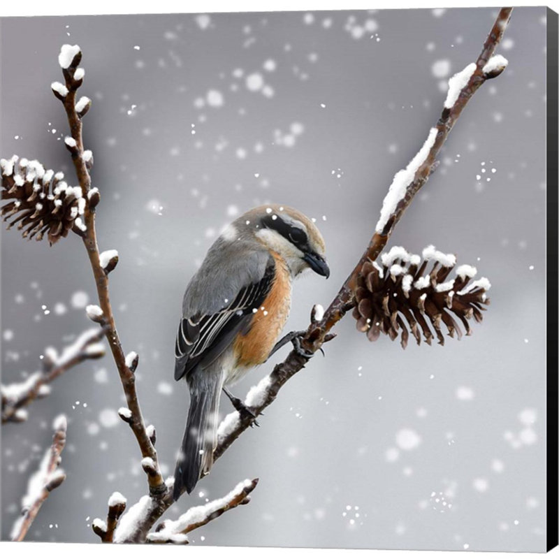 «Snow Bird» par Marcus Prime - photographie sur toile sans cadre