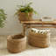 Seagrass 3 Piece Oval Basket with Cuff Set