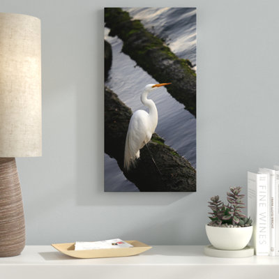 « white grues », reproduction de photo