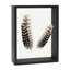 Gye Wood Floater Picture Frame-279237154-279237156