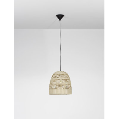 1 - Light Black Shaded Pendant