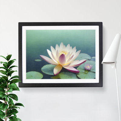 Classic Water Lily Flower - Framed Print