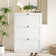 Shoe Storage Cabinet with 3 Flip Drawers