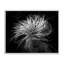 Feuilles torsadées botaniques contrastantes, dessin de Phillip Flowers-1708676916-1708676918