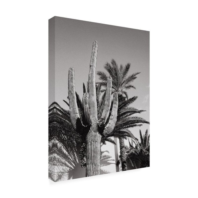 Art sur toile «bolologuf studio III Cactus Bw Las Vegas», H 32 po x l 24 po
