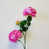 Fuchsia est en rupture de stock
