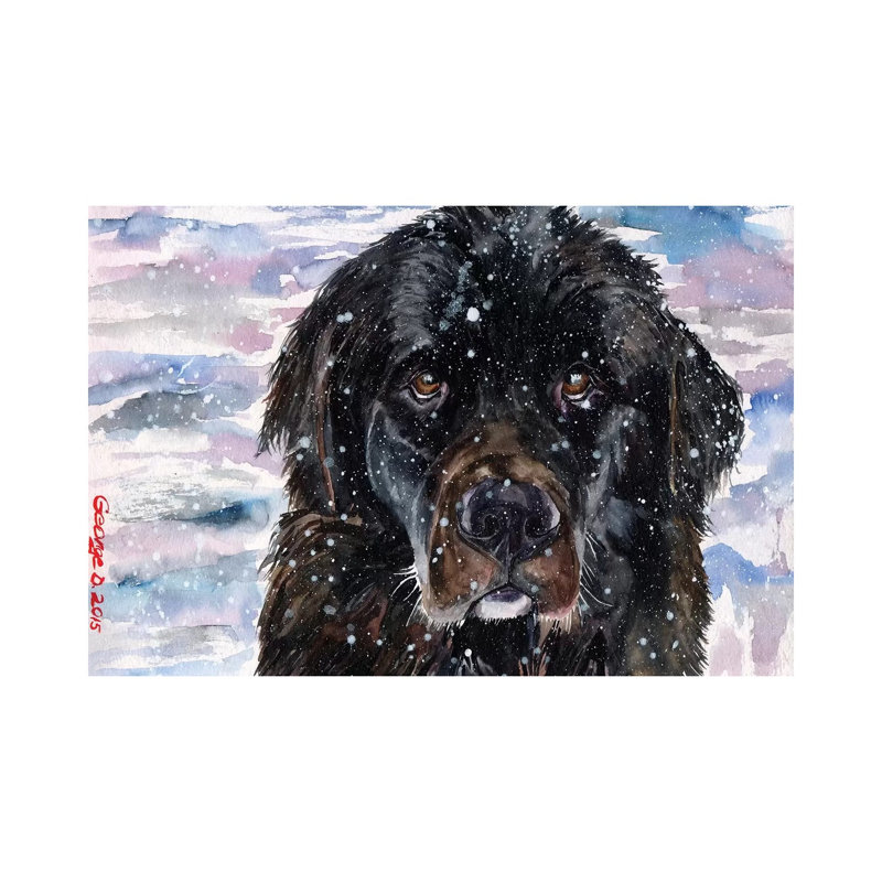 Newfoundland 1 Piece Wrapped Canvas Painting, 101.6 cm H x 66.04 cm W x 3.175 cm D