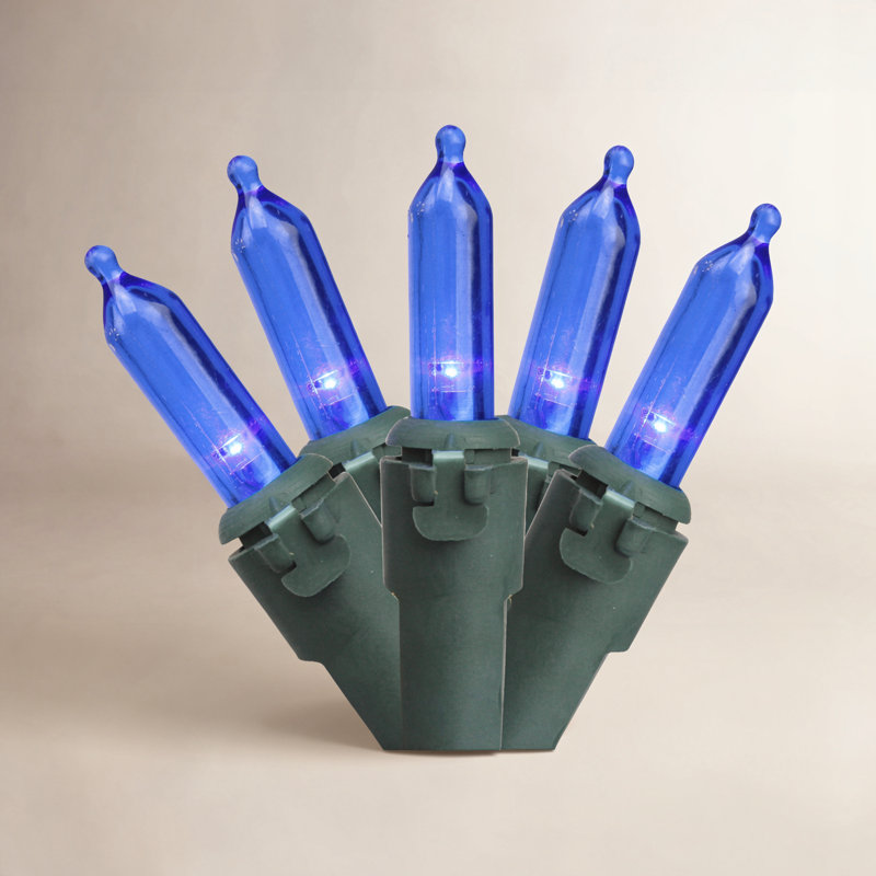 Guirlande de 100 lumières DEL, Bleu / vert, 50
