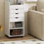 6 Tier Plant Stand