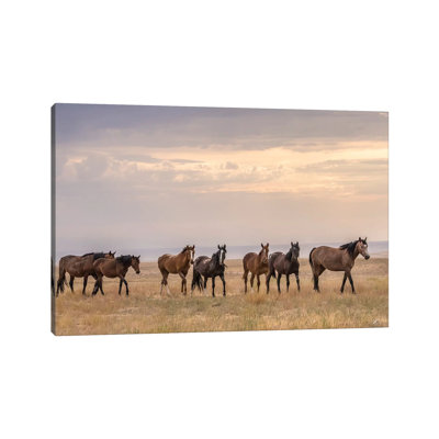 USA, Utah, Tooele County. Wild Horses Walking. by Jaynes Gallery - Wrapped Canvas Gallery-Wrapped Canvas Giclée