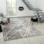 Echo Area Rug-912476419