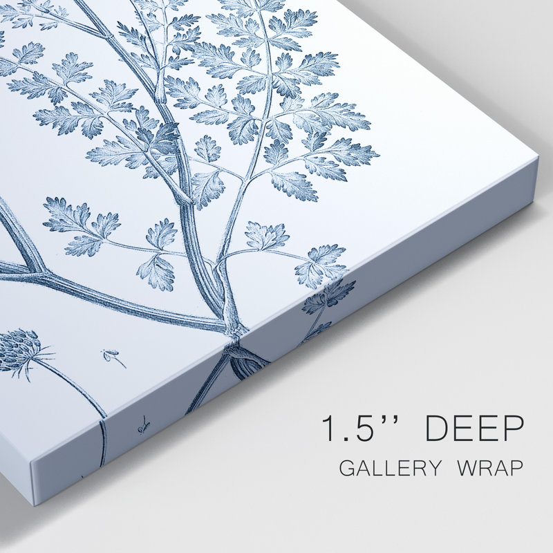 " Antique Botanical In Blue V ", 36" H x 24" W x 1" D