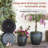 Shamell Pot Planter-66653515
