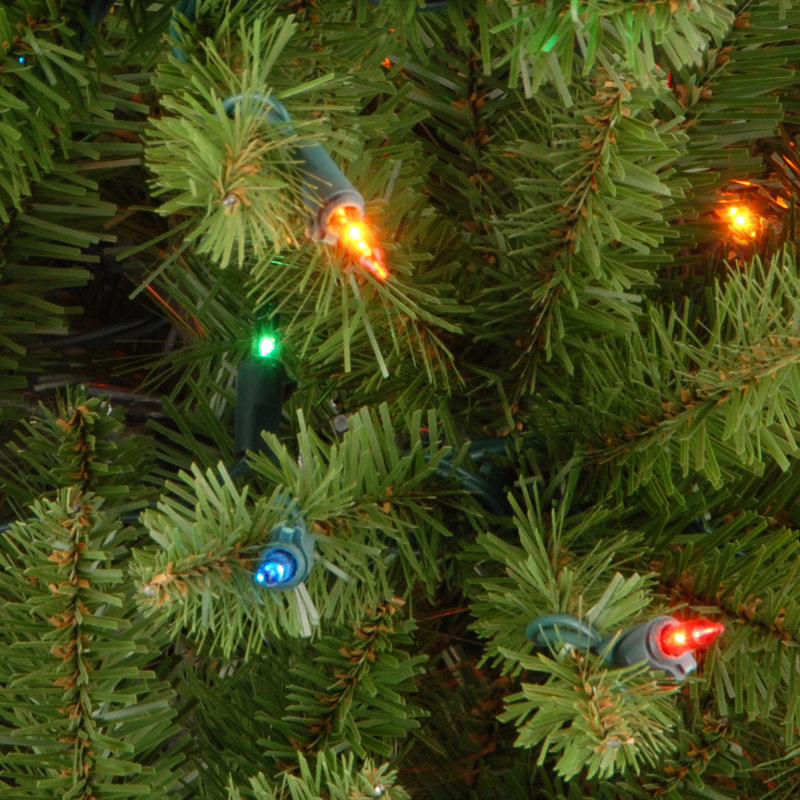 The Holiday Aisle® Kingswood Fir Pencil Tree with Multicolor Lights, 3'