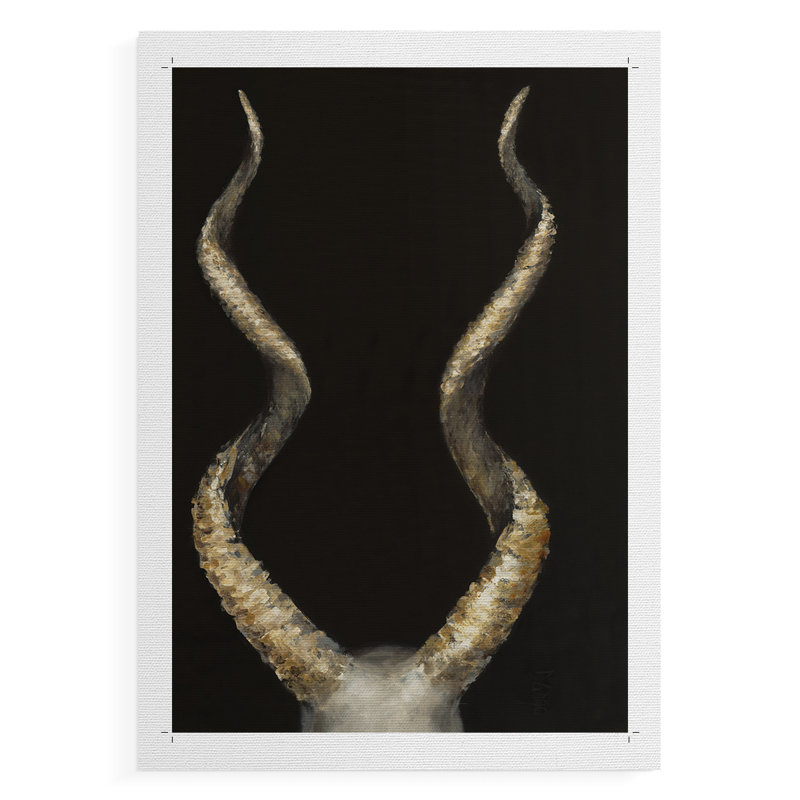 Spiral Antelope Horns -Canvas Print Only - NOT FRAMED, 18" H x 12" W