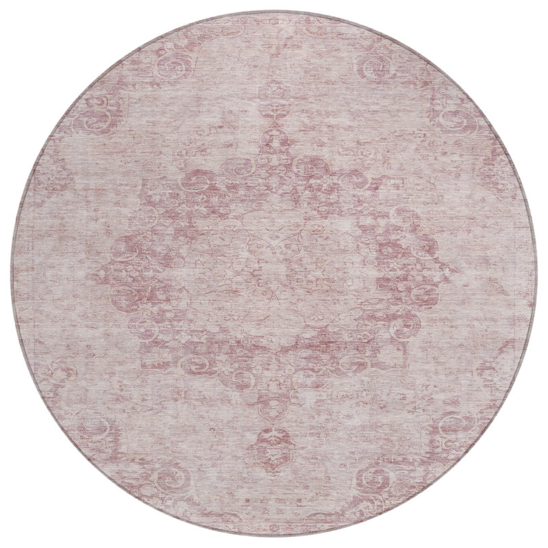 Tapis intérieur lavable 8 pi