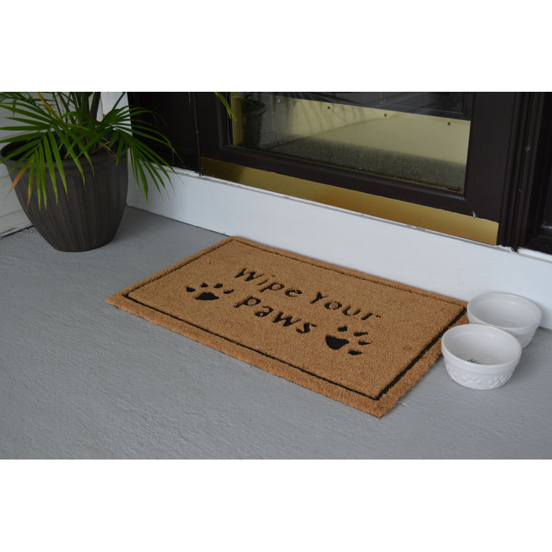 Katayun Non-Slip Outdoor Doormat