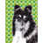 Black and White Collie