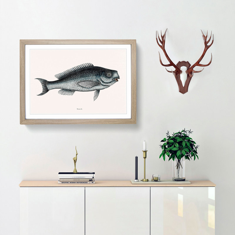 Blue Fish by Mark Catesby - Picture Frame Painting Print, 27cm H x 36cm W x 2cm D, Oak Framed