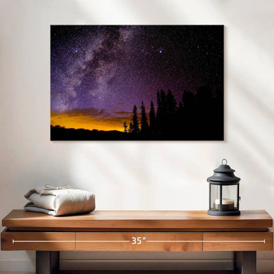 Forestland Milky Way