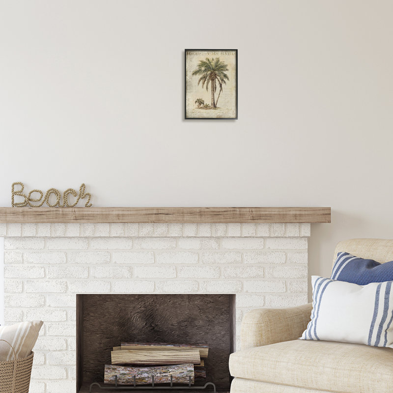 Vintage Palm Tree Study Black Framed 11 x 14 Art Print