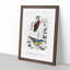 Bird Illustrations PL. 16 by Charles D' Orbigny - Single Picture Frame Painting-55457087-55457088