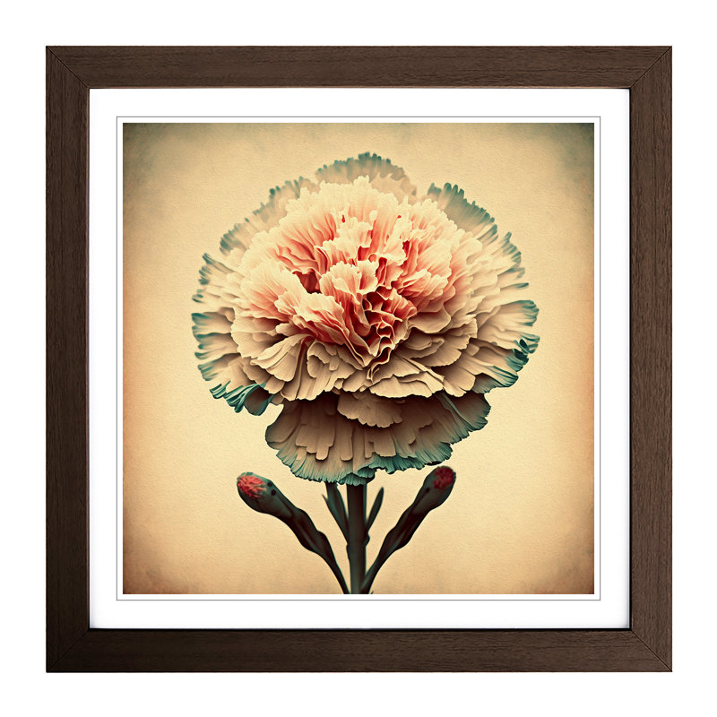 Carnation Flower Retro - Framed Print, Walnut