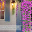 Lot de 2 fleurs artificielles de lierre violet, fausses fleurs suspendues, résistantes aux UV, pour la décoration de terrasse et de jardin.-140418322