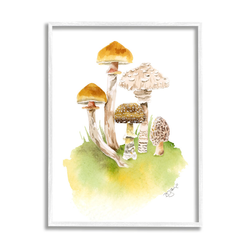 Bb-090-Champignon brun poussant encadré sur bois, Giclée encadrée blanc bord de mer, H 14 po x l 11 po x P 1,5 po