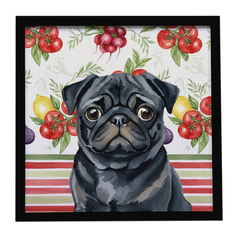 «Black Pug Légumes», impression sur métal encadrée