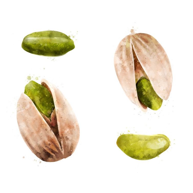 Pistachios On White Background - Wrapped Canvas Print