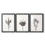 Encre botanique croquis II-457479930-457479932