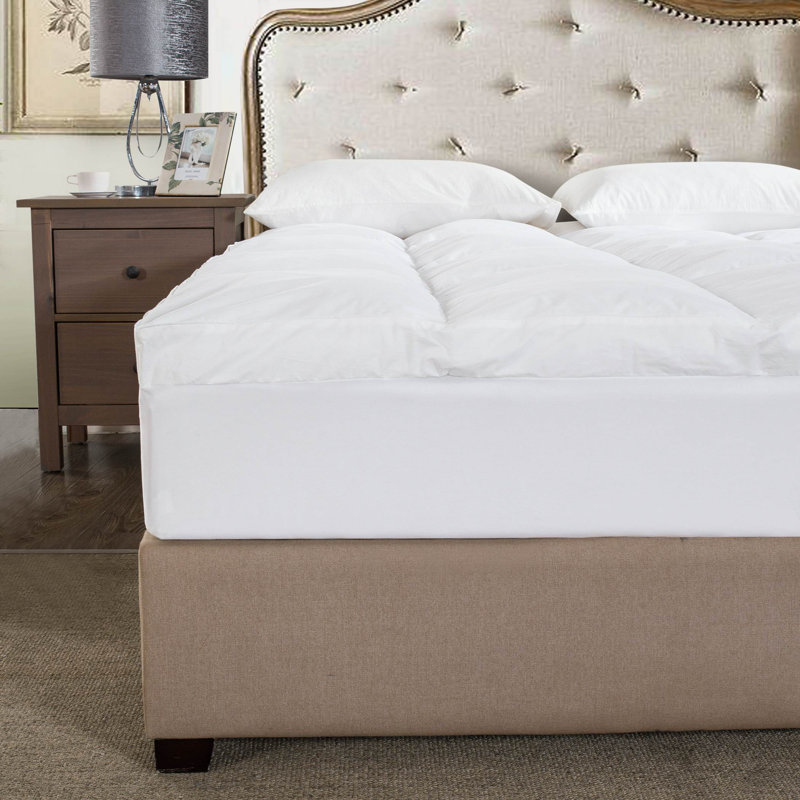 Ashly 3'' Mattress Topper, Full