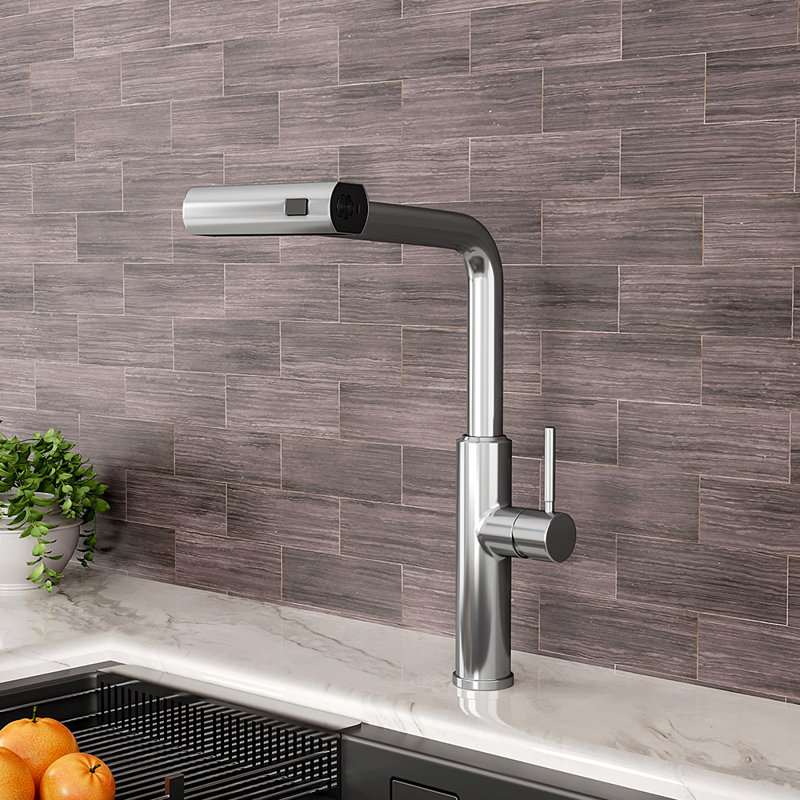 Belfry Kitchen Mallouk Pull Out Kitchen Faucet, Silver