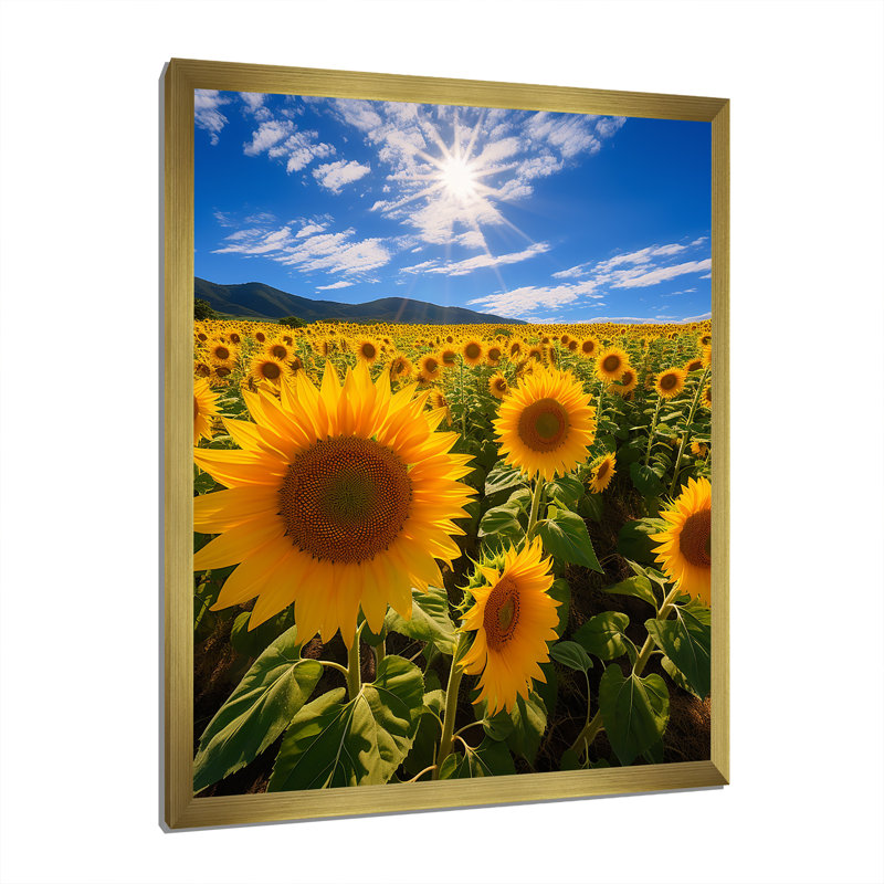 Espagne, champ de tournesols, chaleur de l'intérieur III sur toile, H 20 po x l 12 po x P 1 po, Encadrement doré