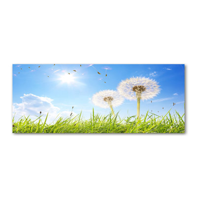 Dandelions - No Frame Print on Canvas