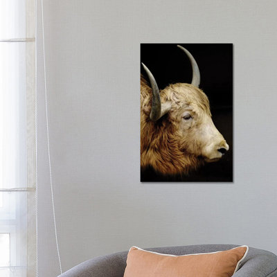 Cow II by Goran Anastasovski - Wrapped Canvas Print